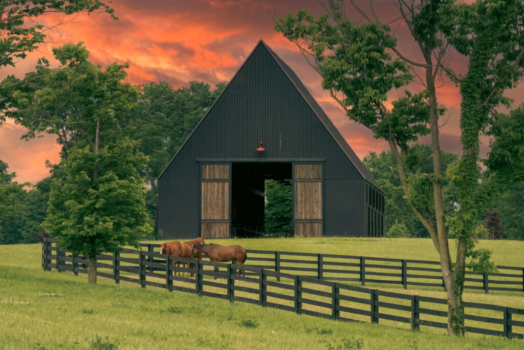 Aerial Photography Lexington